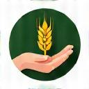 Icona di una mano che tiene una spiga di grano